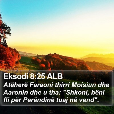 Eksodi 8:25 ALB Bible Verse Image