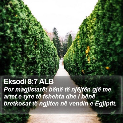 Eksodi 8:7 ALB Bible Verse Image