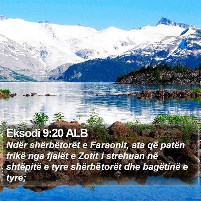 Eksodi 9:20 ALB Bible Verse Image