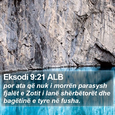 Eksodi 9:21 ALB Bible Verse Image
