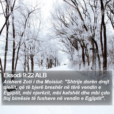 Eksodi 9:22 ALB Bible Verse Image