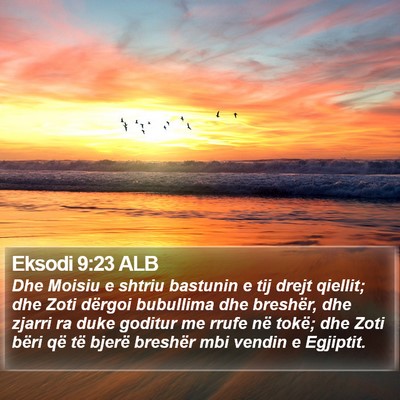 Eksodi 9:23 ALB Bible Verse Image