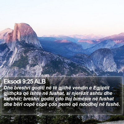 Eksodi 9:25 ALB Bible Verse Image