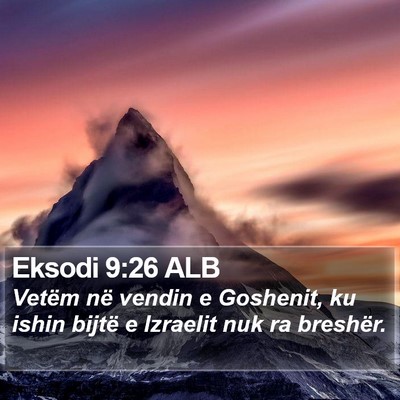 Eksodi 9:26 ALB Bible Verse Image