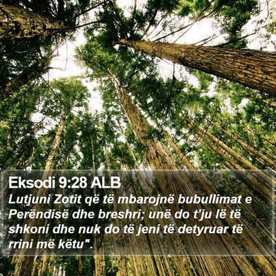 Eksodi 9:28 ALB Bible Verse Image