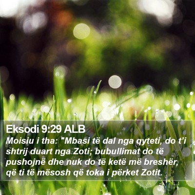 Eksodi 9:29 ALB Bible Verse Image