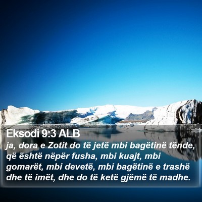 Eksodi 9:3 ALB Bible Verse Image