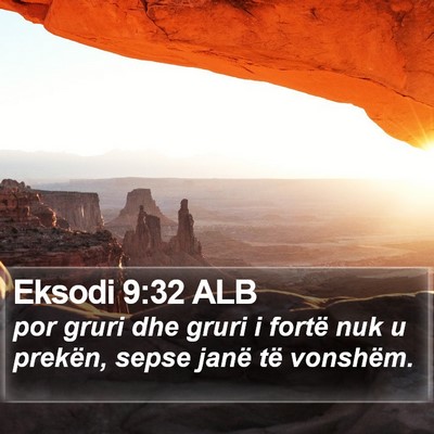 Eksodi 9:32 ALB Bible Verse Image