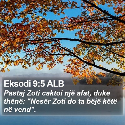 Eksodi 9:5 ALB Bible Verse Image