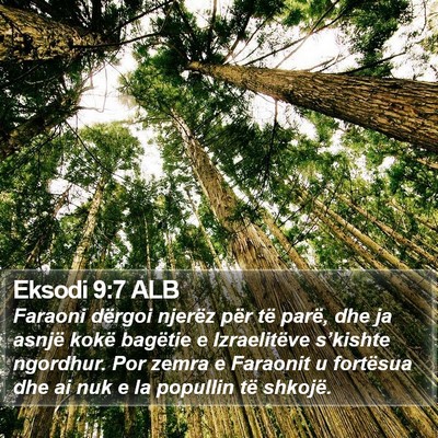 Eksodi 9:7 ALB Bible Verse Image