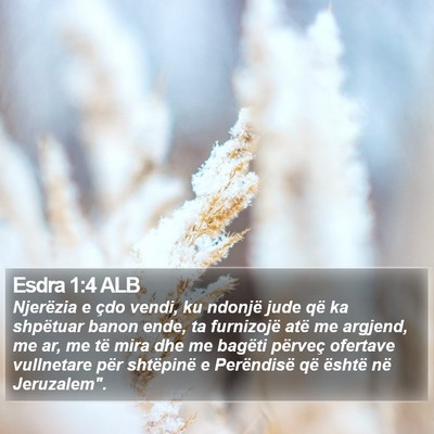 Esdra 1:4 ALB Bible Verse Image