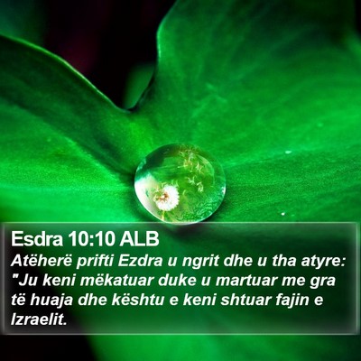Esdra 10:10 ALB Bible Verse Image