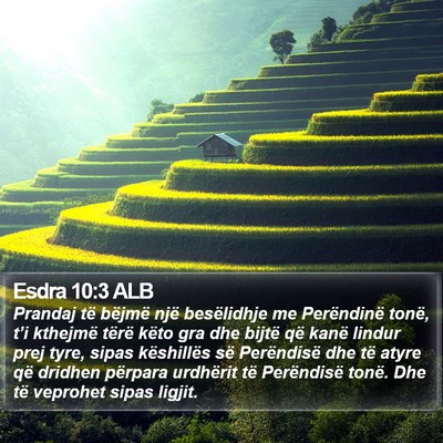 Esdra 10:3 ALB Bible Verse Image