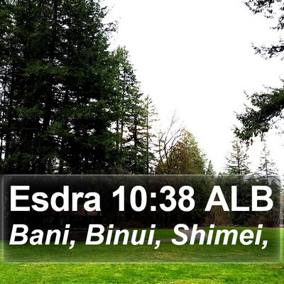 Esdra 10:38 ALB Bible Verse Image