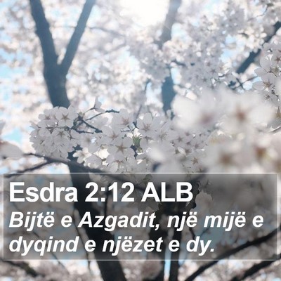 Esdra 2:12 ALB Bible Verse Image
