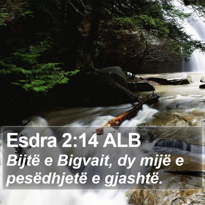 Esdra 2:14 ALB Bible Verse Image