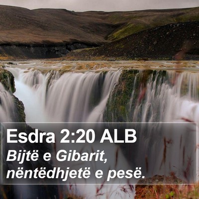 Esdra 2:20 ALB Bible Verse Image