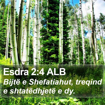 Esdra 2:4 ALB Bible Verse Image