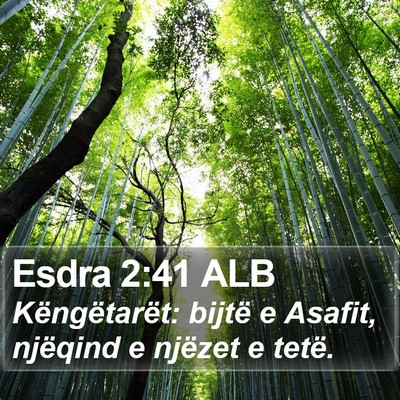 Esdra 2:41 ALB Bible Verse Image