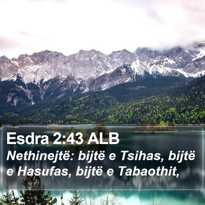 Esdra 2:43 ALB Bible Verse Image