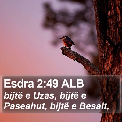 Esdra 2:49 ALB Bible Verse Image