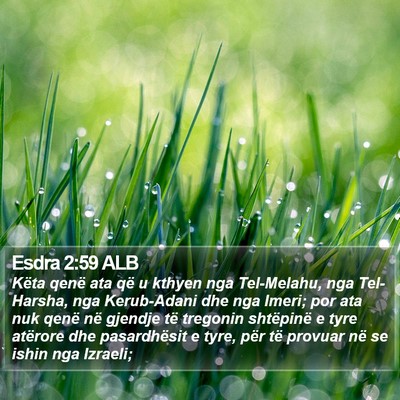 Esdra 2:59 ALB Bible Verse Image