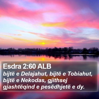 Esdra 2:60 ALB Bible Verse Image