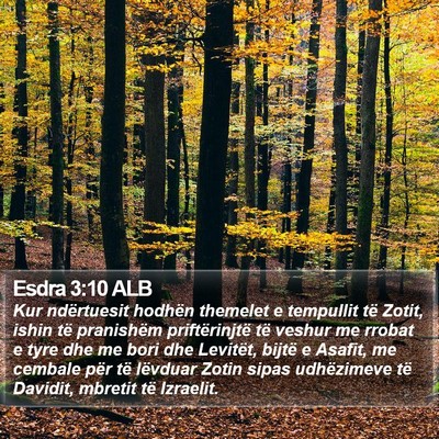 Esdra 3:10 ALB Bible Verse Image