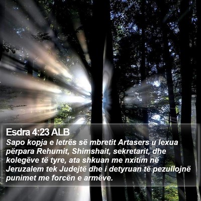 Esdra 4:23 ALB Bible Verse Image