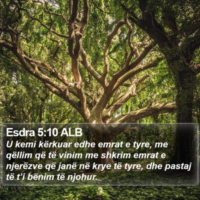 Esdra 5:10 ALB Bible Verse Image