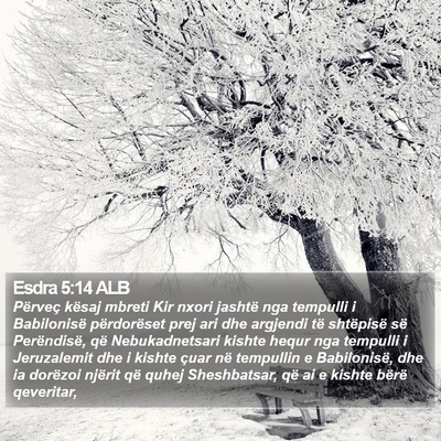 Esdra 5:14 ALB Bible Verse Image