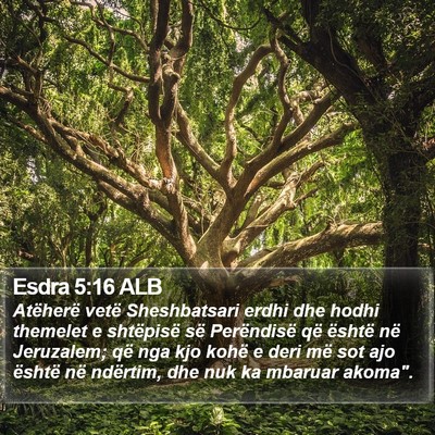 Esdra 5:16 ALB Bible Verse Image