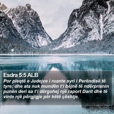 Esdra 5:5 ALB Bible Verse Image