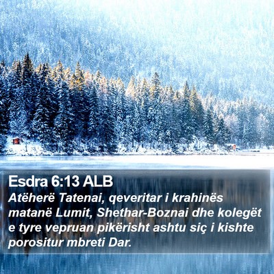 Esdra 6:13 ALB Bible Verse Image