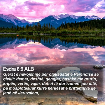 Esdra 6:9 ALB Bible Verse Image