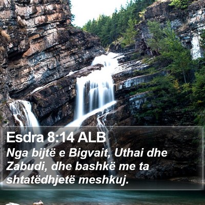 Esdra 8:14 ALB Bible Verse Image