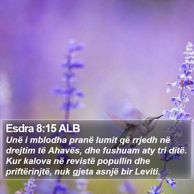 Esdra 8:15 ALB Bible Verse Image