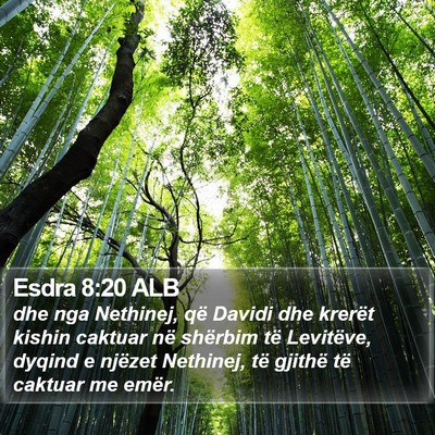 Esdra 8:20 ALB Bible Verse Image