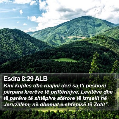 Esdra 8:29 ALB Bible Verse Image