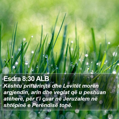 Esdra 8:30 ALB Bible Verse Image