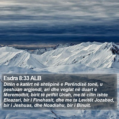 Esdra 8:33 ALB Bible Verse Image