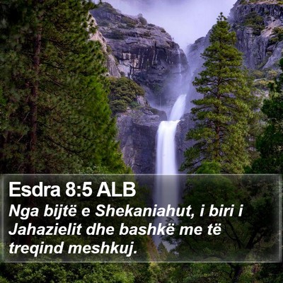 Esdra 8:5 ALB Bible Verse Image
