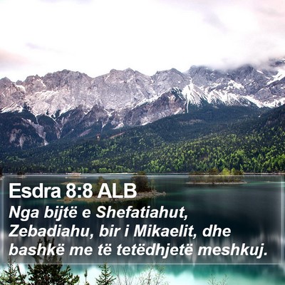 Esdra 8:8 ALB Bible Verse Image