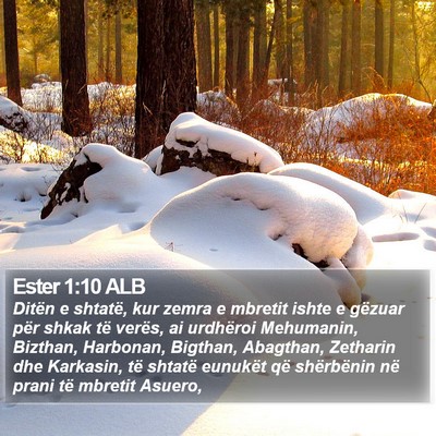 Ester 1:10 ALB Bible Verse Image