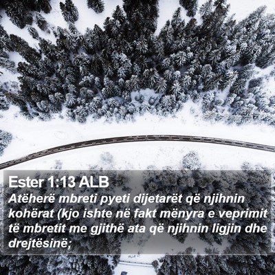 Ester 1:13 ALB Bible Verse Image