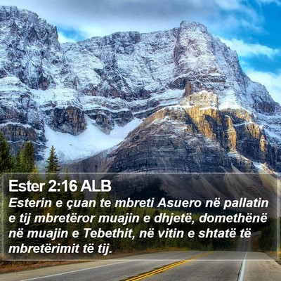 Ester 2:16 ALB Bible Verse Image