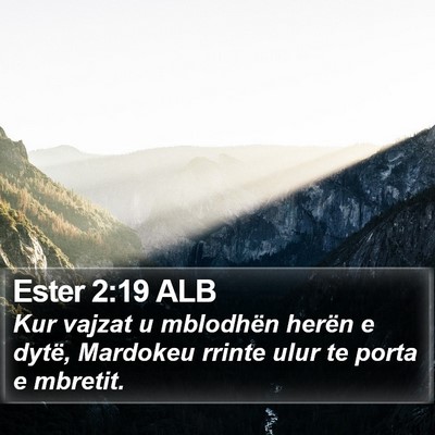 Ester 2:19 ALB Bible Verse Image