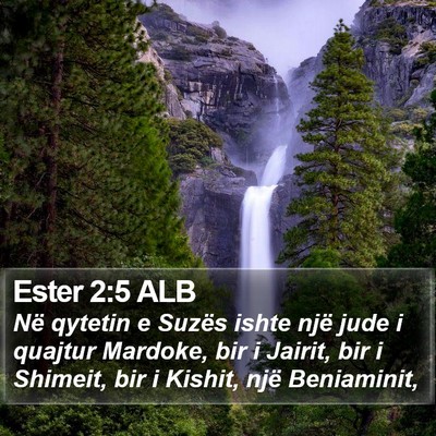 Ester 2:5 ALB Bible Verse Image