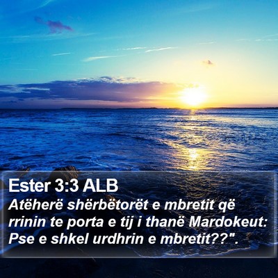 Ester 3:3 ALB Bible Verse Image