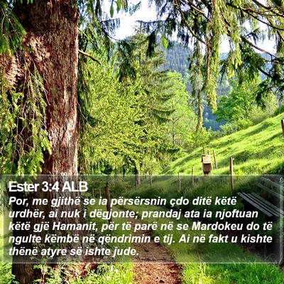 Ester 3:4 ALB Bible Verse Image